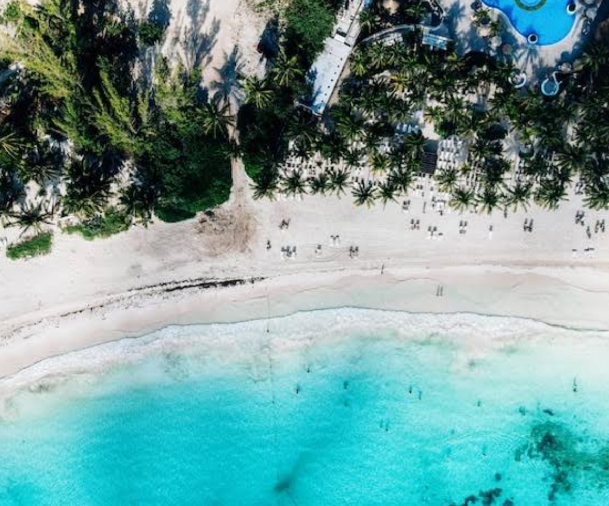 Tulum jungle real estate Tulum jungle real estate